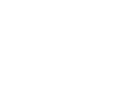 Discord icon